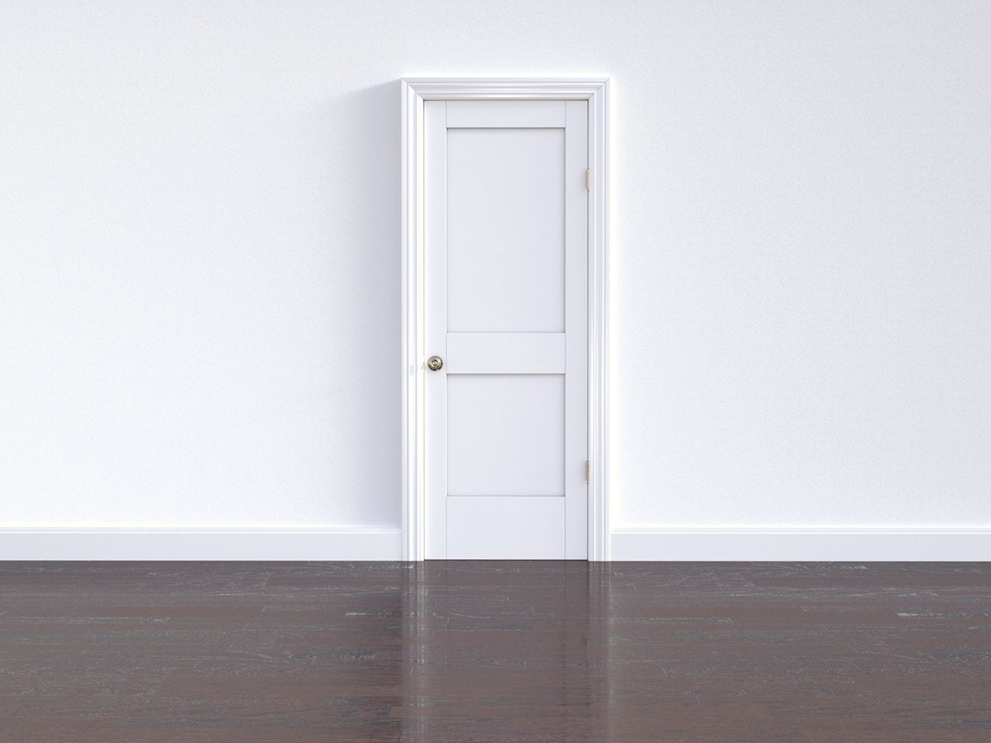 Flush Doors