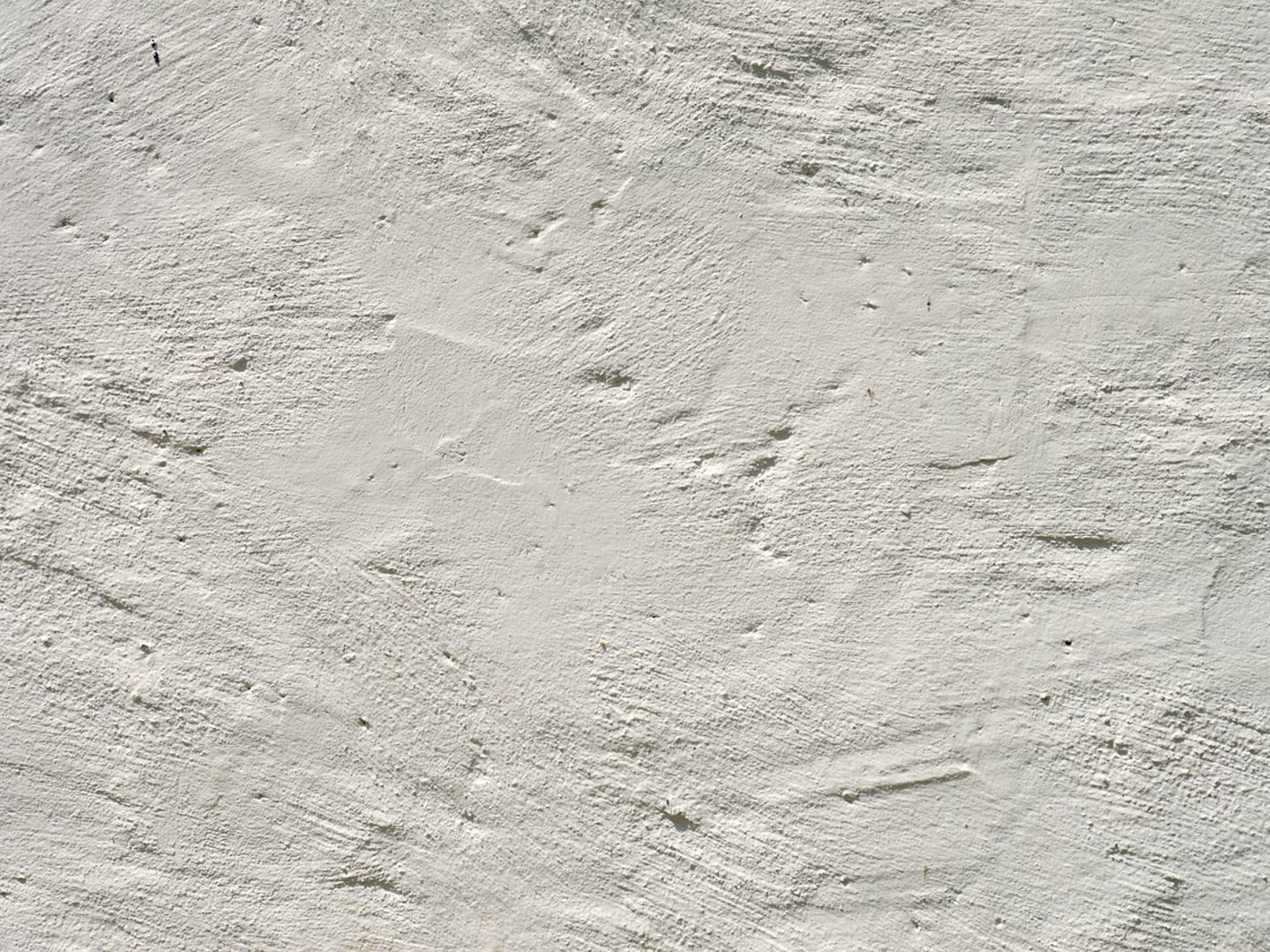 Wall Putty