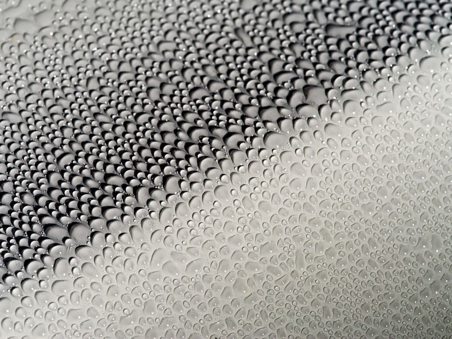 Waterproof Coatings